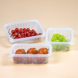 White Custom Recyclable PP Plastic Food Tray