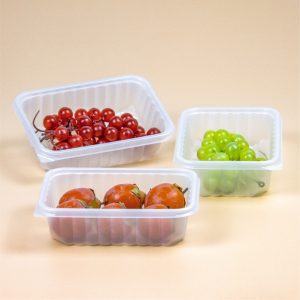 pp plastic food tray