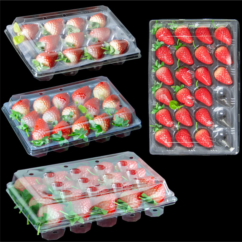 RPET Strawberry Tray-04