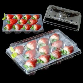 250*170*58 Clear Plastic RPET Strawberry Tray Fresh Produce Packaging Solution