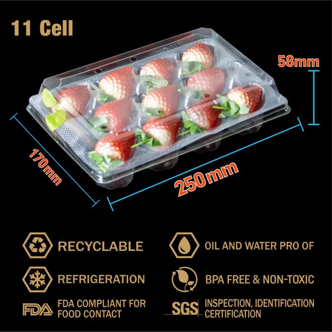 RPET Strawberry Tray-07