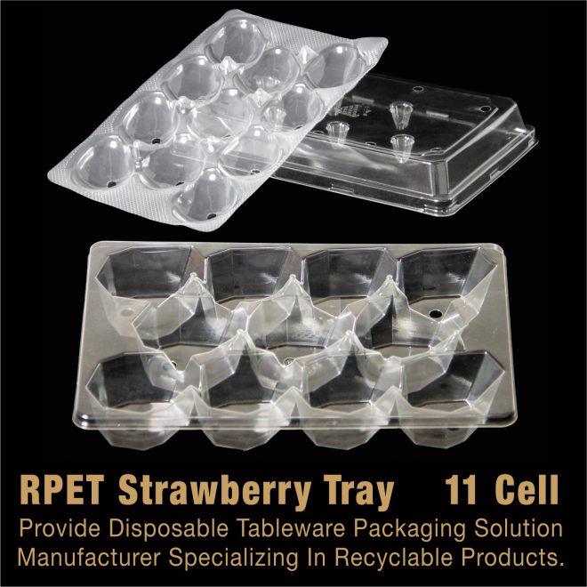 RPET Strawberry Tray-08