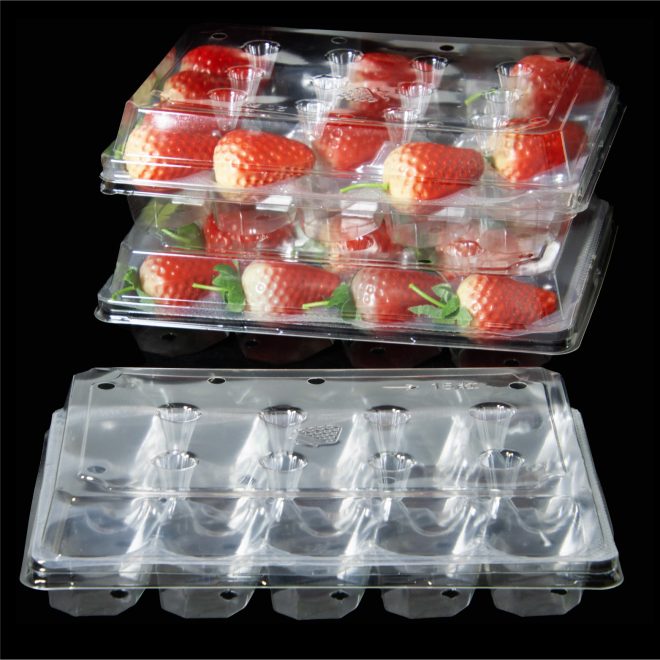 RPET Strawberry Tray-09