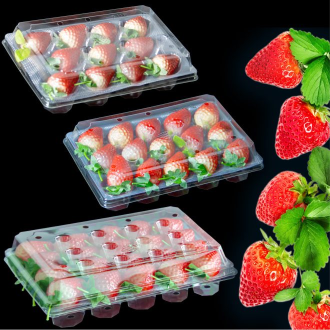 RPET Strawberry Tray-10