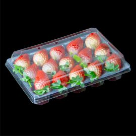 250*170*55 Clear Plastic RPET Strawberry Tray Fresh Produce Packaging Solution