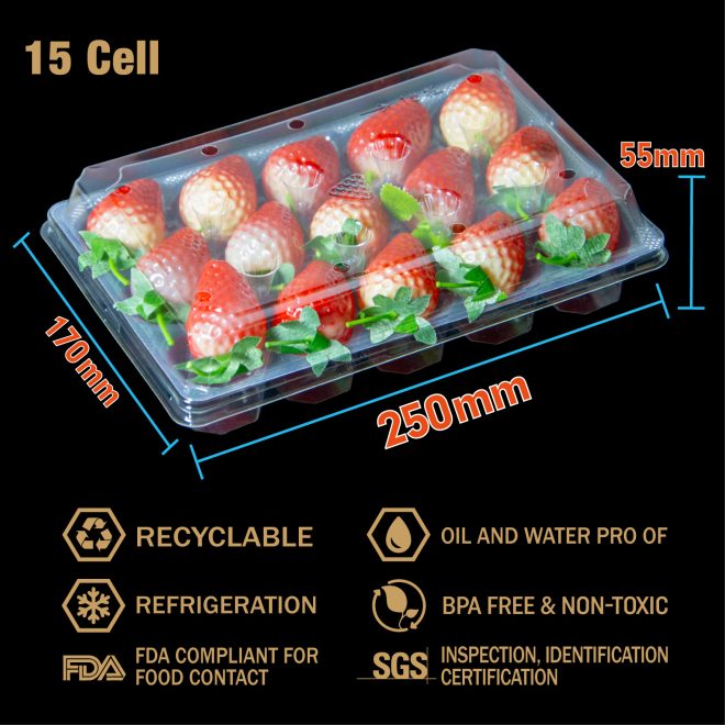 RPET Strawberry Tray-12