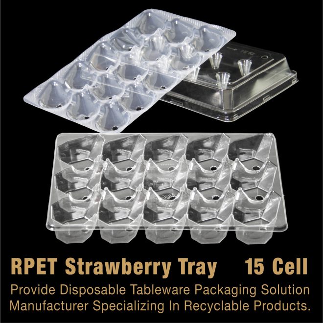 RPET Strawberry Tray-13