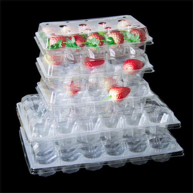 RPET Strawberry Tray-15